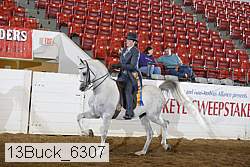 13buck_6307 thumbnail