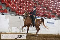 13buck_6308 thumbnail