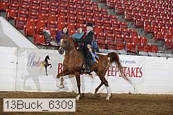 13buck_6309 thumbnail
