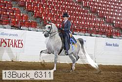 13buck_6311 thumbnail