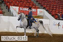 13buck_6313 thumbnail