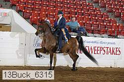 13buck_6315 thumbnail