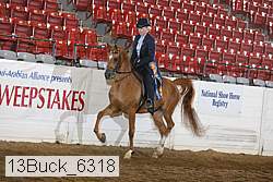 13buck_6318 thumbnail