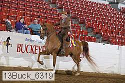 13buck_6319 thumbnail
