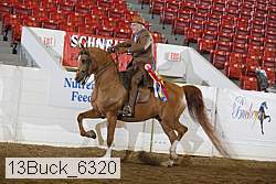 13buck_6320 thumbnail