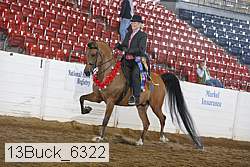 13buck_6322 thumbnail