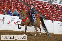 13buck_6323 thumbnail