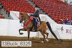 13buck_6325 thumbnail