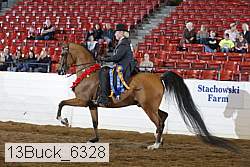 13buck_6328 thumbnail