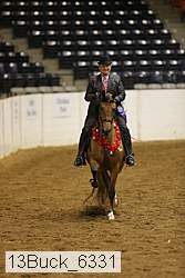 13buck_6331 thumbnail