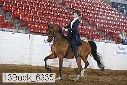 13buck_6335 thumbnail