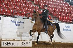13buck_6381 thumbnail