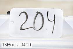 13buck_6400 thumbnail