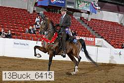 13buck_6415 thumbnail