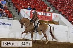 13buck_6437 thumbnail