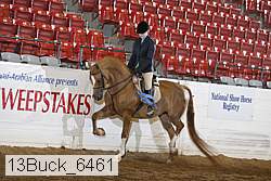 13buck_6461 thumbnail