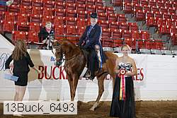 13buck_6493 thumbnail