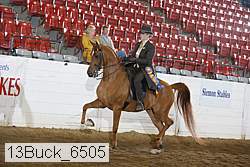 13buck_6505 thumbnail