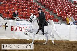 13buck_6529 thumbnail