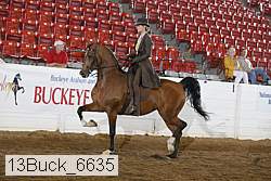 13buck_6635 thumbnail