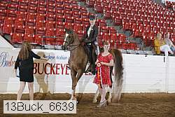 13buck_6639 thumbnail