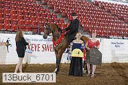 13buck_6701 thumbnail