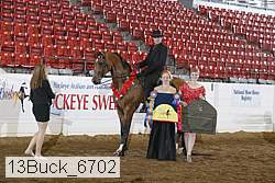 13buck_6702 thumbnail