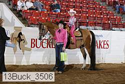 13buck_3506 thumbnail