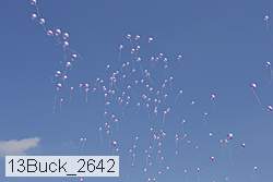 13buck_2642 thumbnail