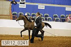 13r12_0241 thumbnail