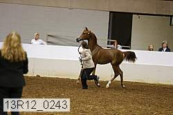13r12_0243 thumbnail