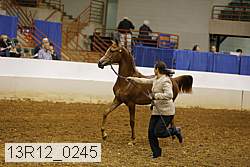 13r12_0245 thumbnail