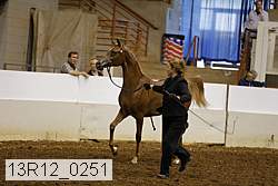 13r12_0251 thumbnail