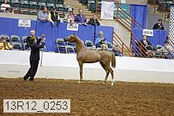 13r12_0253 thumbnail