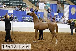 13r12_0254 thumbnail