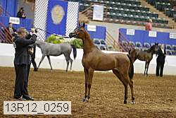 13r12_0259 thumbnail