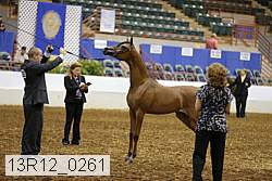 13r12_0261 thumbnail