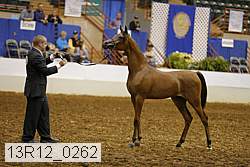 13r12_0262 thumbnail