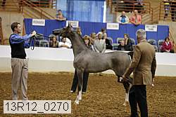 13r12_0270 thumbnail