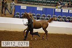 13r12_0278 thumbnail