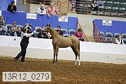 13r12_0279 thumbnail