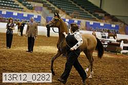 13r12_0282 thumbnail
