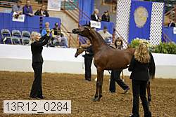 13r12_0284 thumbnail