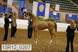 13r12_0287 thumbnail