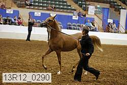 13r12_0290 thumbnail