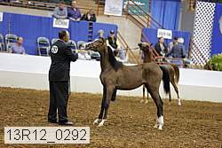 13r12_0292 thumbnail