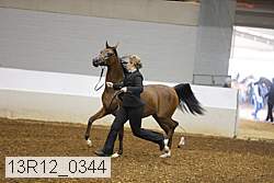 13r12_0344 thumbnail