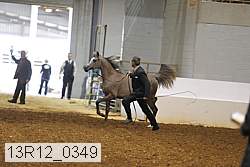 13r12_0349 thumbnail