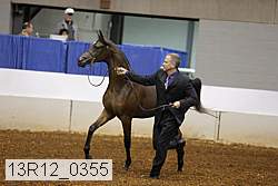 13r12_0355 thumbnail