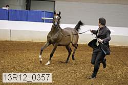 13r12_0357 thumbnail